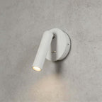 Dylok Wall Light