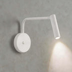 Dymor Wall Light