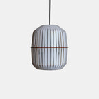 Wren Pendant Light