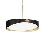 Ring Pendant Light