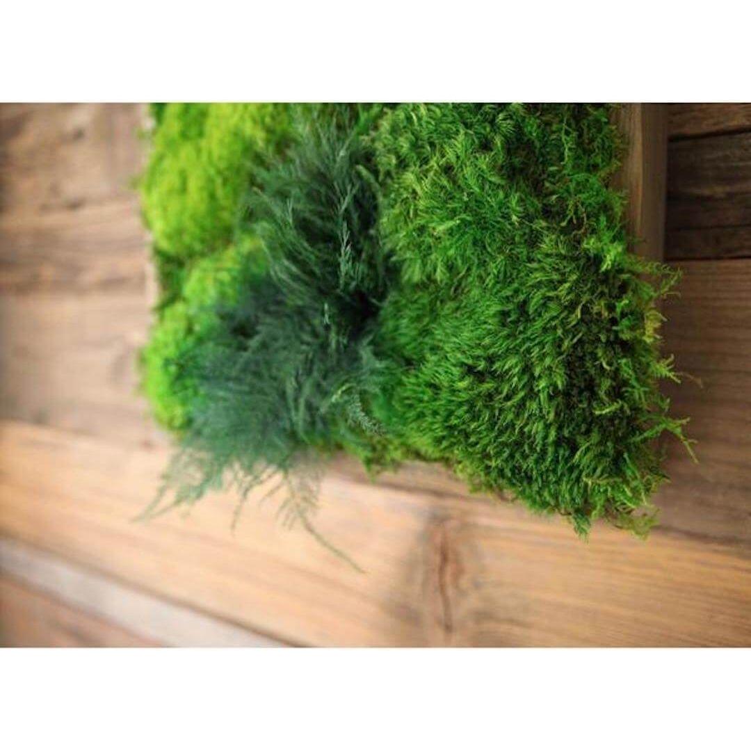 High-Profile Moss & Ferns Plant Painting Handmade 40” x 18”