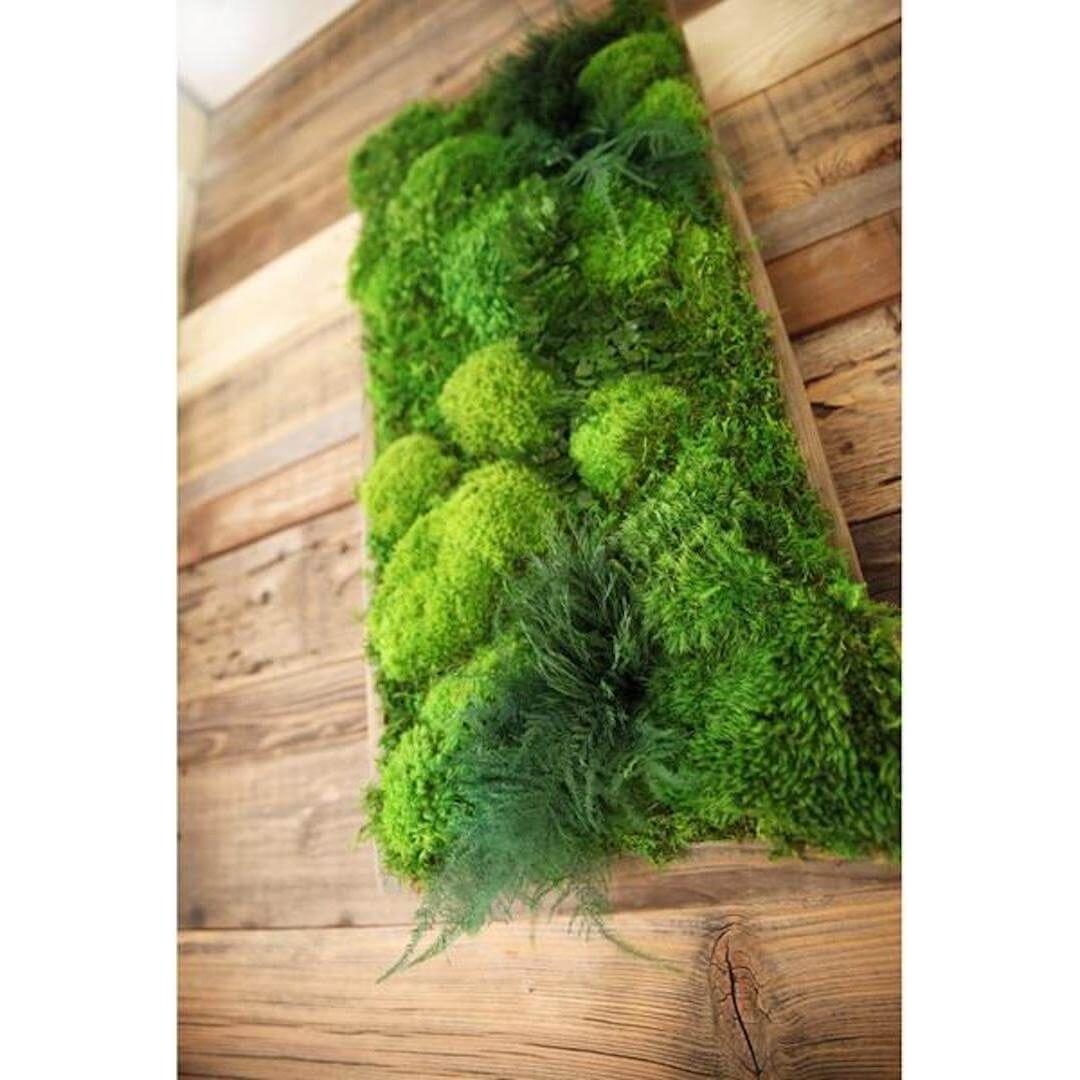 High-Profile Moss & Ferns Plant Painting Handmade 40” x 18”