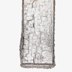 Yakisugi Pendant Light