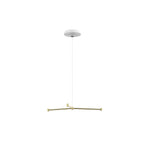 Dependant Circular Pendant Light