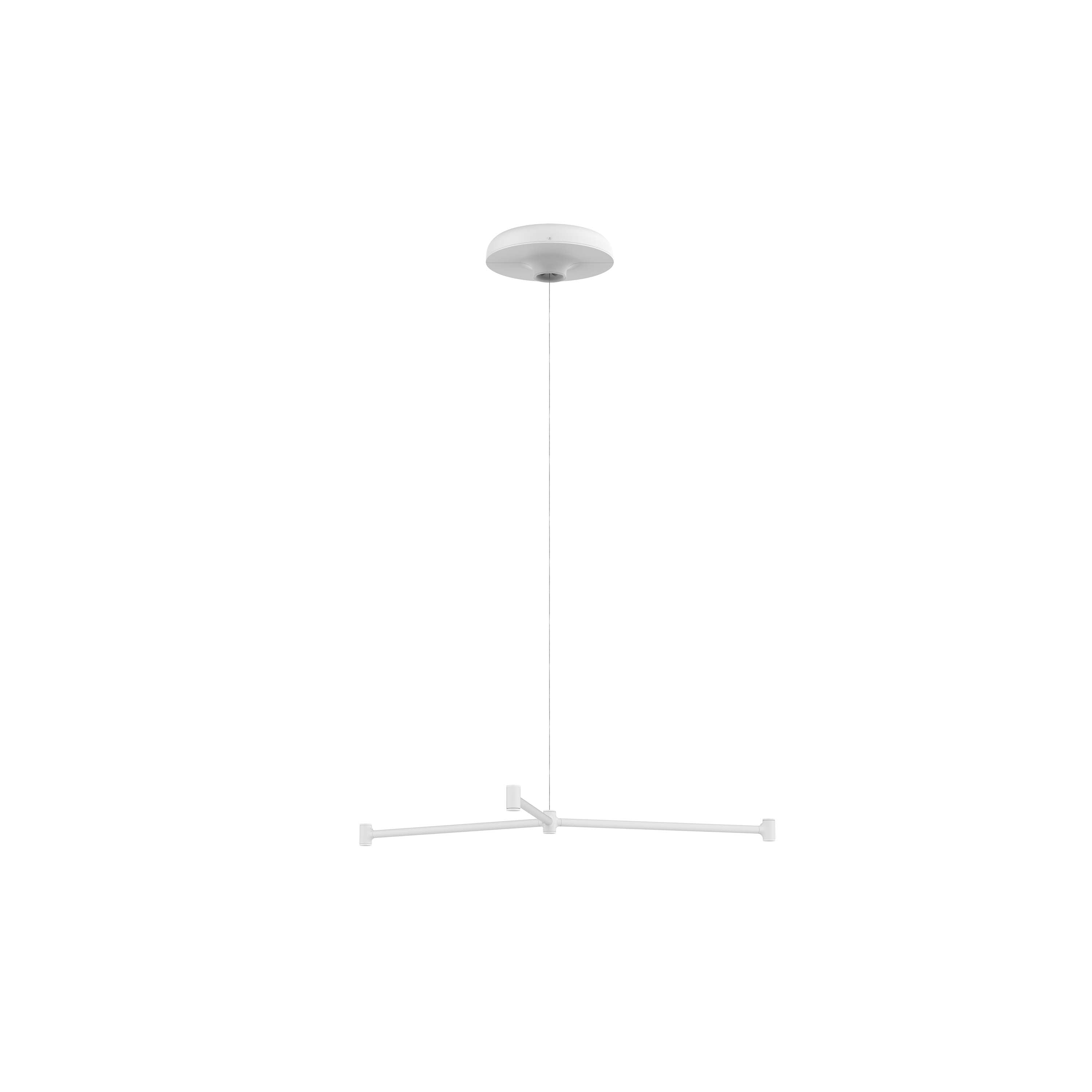 Dependant Circular Pendant Light