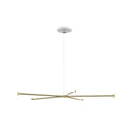 Dependant Circular Pendant Light