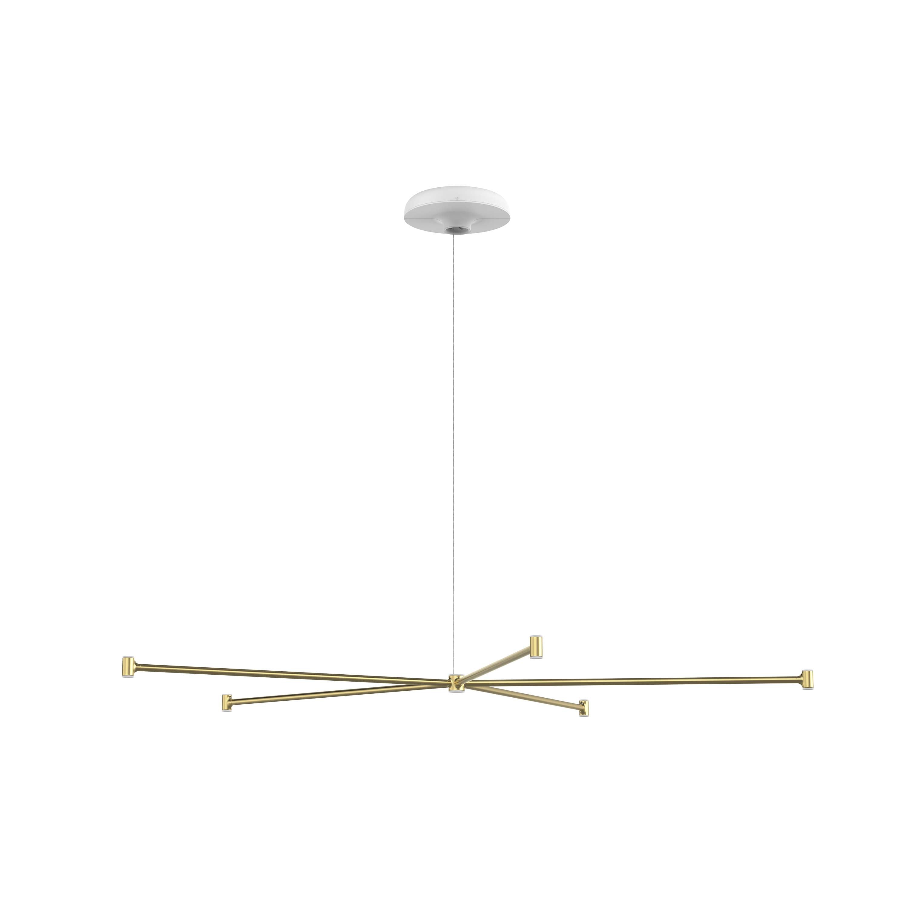 Dependant Circular Pendant Light