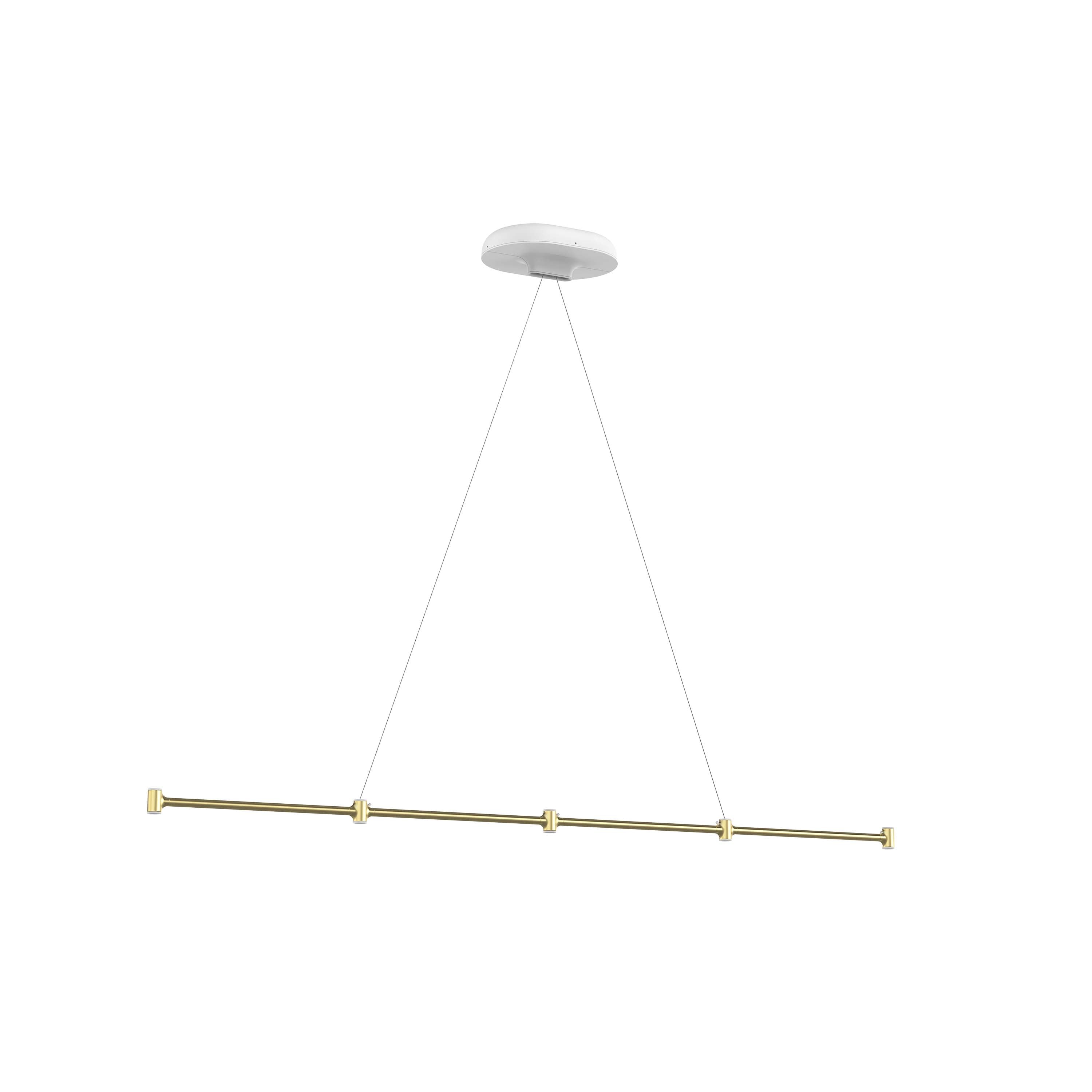 Dependant Linear Pendant Light