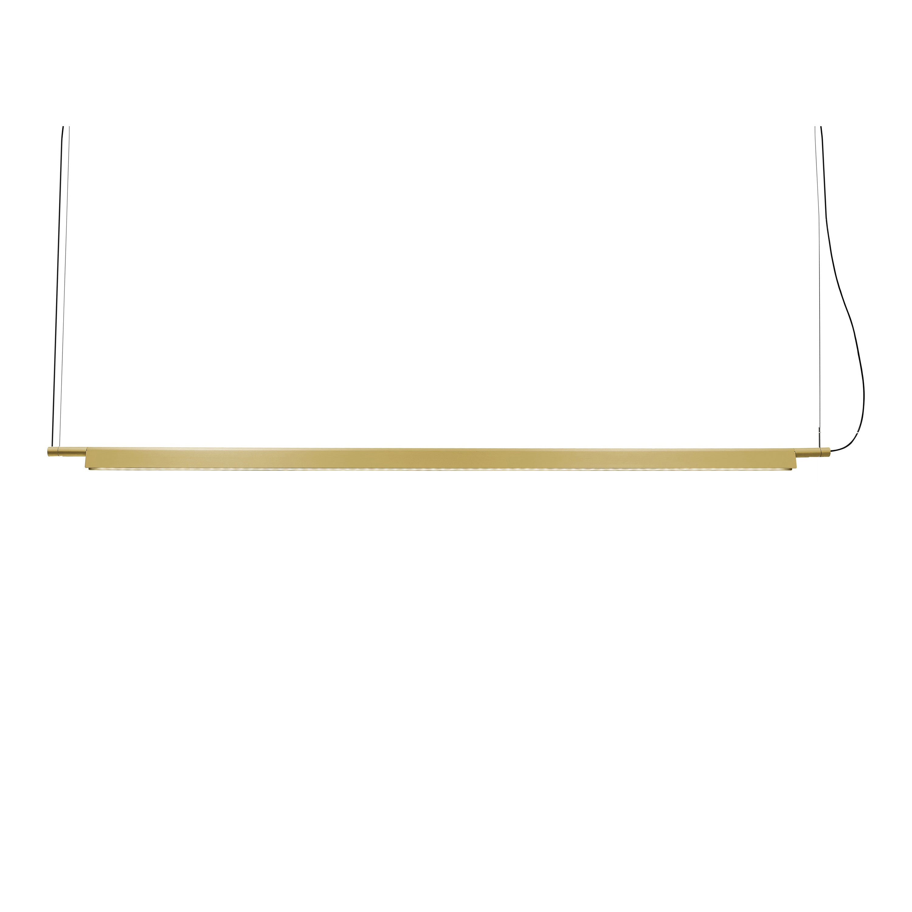 Compendium Pendant Light