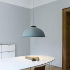 Farel Acoustical Pendant Light