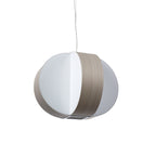 Carambola Suspension Light