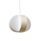 Carambola Suspension Light