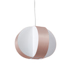 Carambola Suspension Light