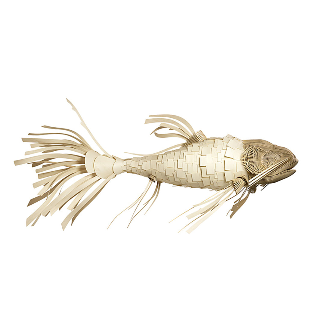 Life-Size Koi Suspension Light