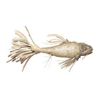 Life-Size Koi Suspension Light