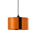 Sushi Pendant Light