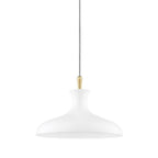 Cassidy Pendant Light