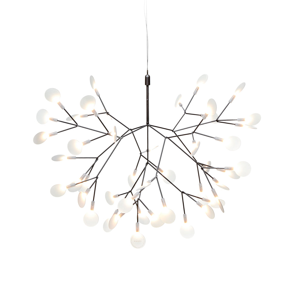 Heracleum III Suspended Light