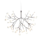 Heracleum III Suspended Light