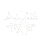 Heracleum III Suspended Light