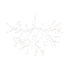 Heracleum III Suspended Light