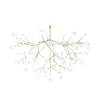 Heracleum III Suspended Light