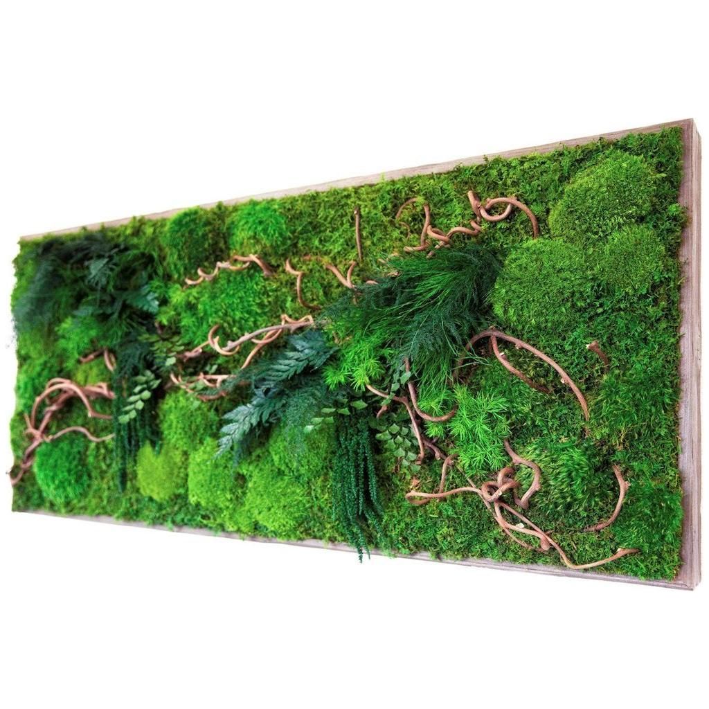 Curly Vine Moss & Ferns Plant Painting Handmade 40” x 18”