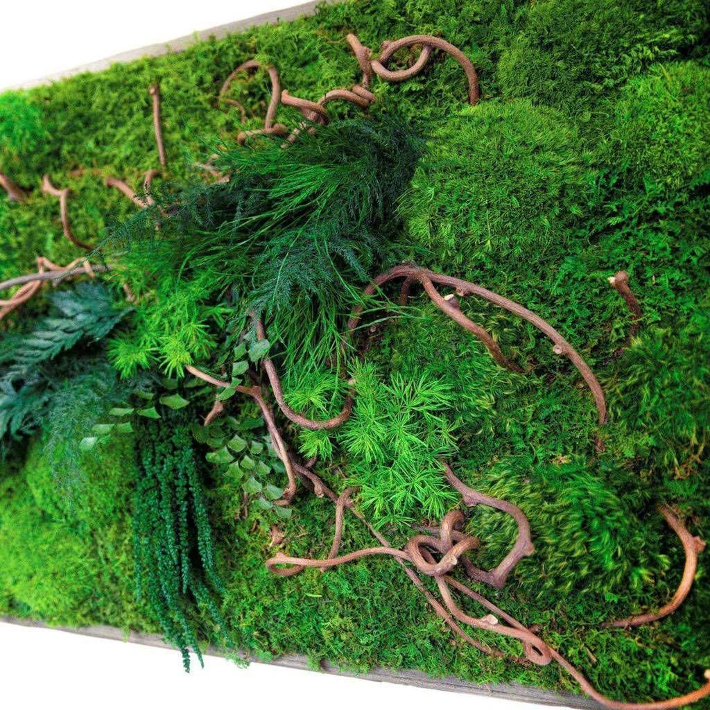 Curly Vine Moss & Ferns Plant Painting Handmade 40” x 18”