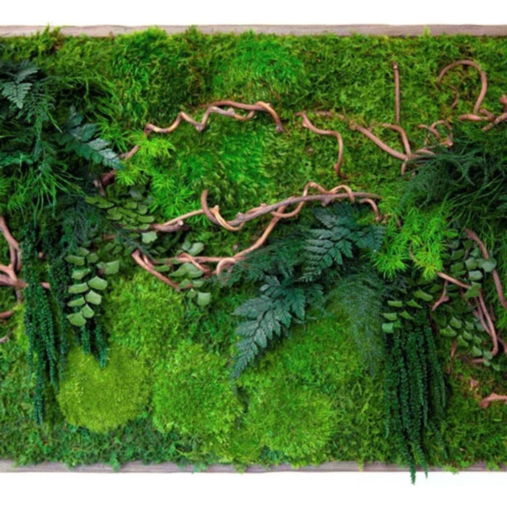 Curly Vine Moss & Ferns Plant Painting Handmade 40” x 18”