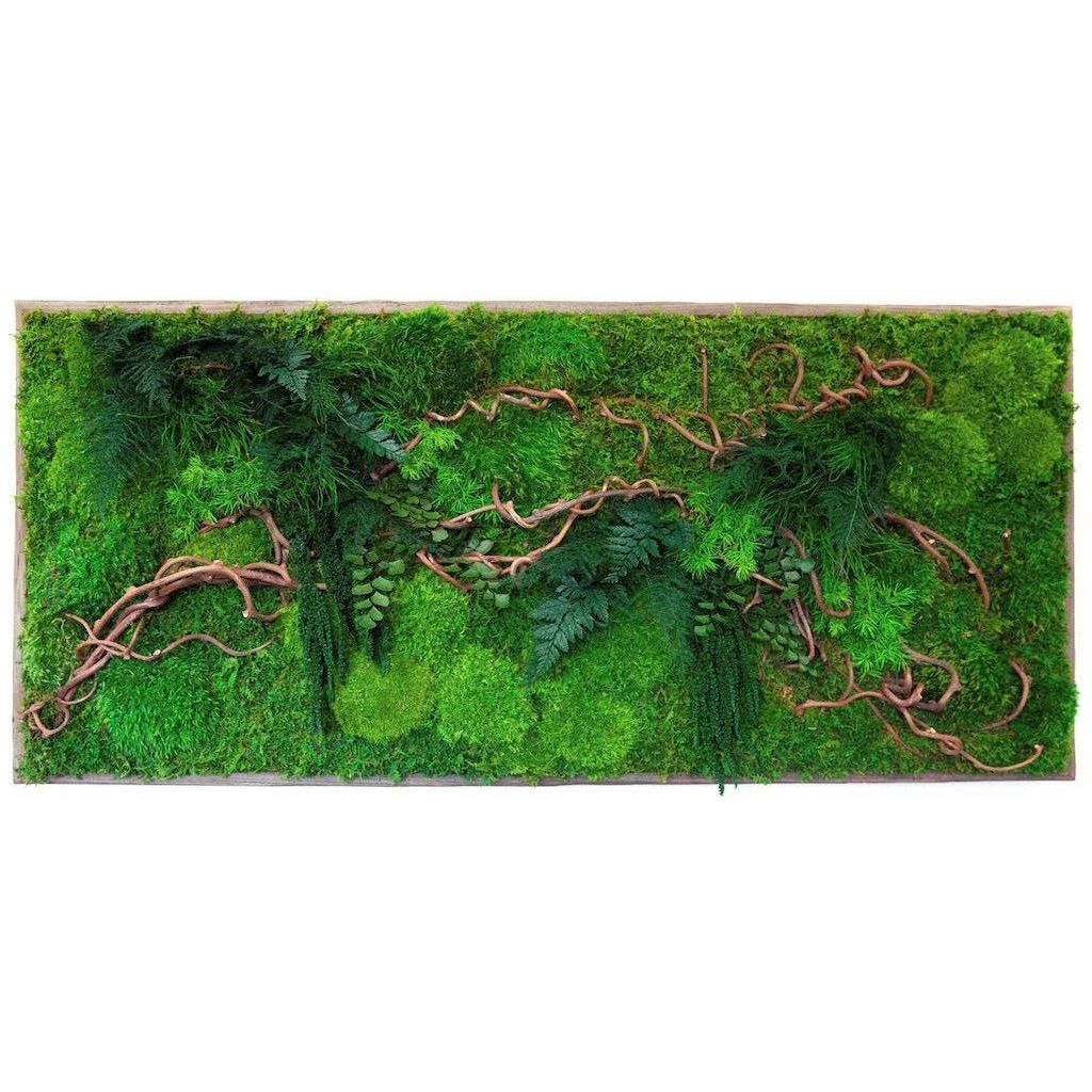 Curly Vine Moss & Ferns Plant Painting Handmade 40” x 18”