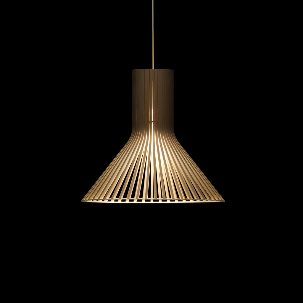 Puncto Pendant Light