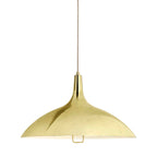 1965 Pendant Light