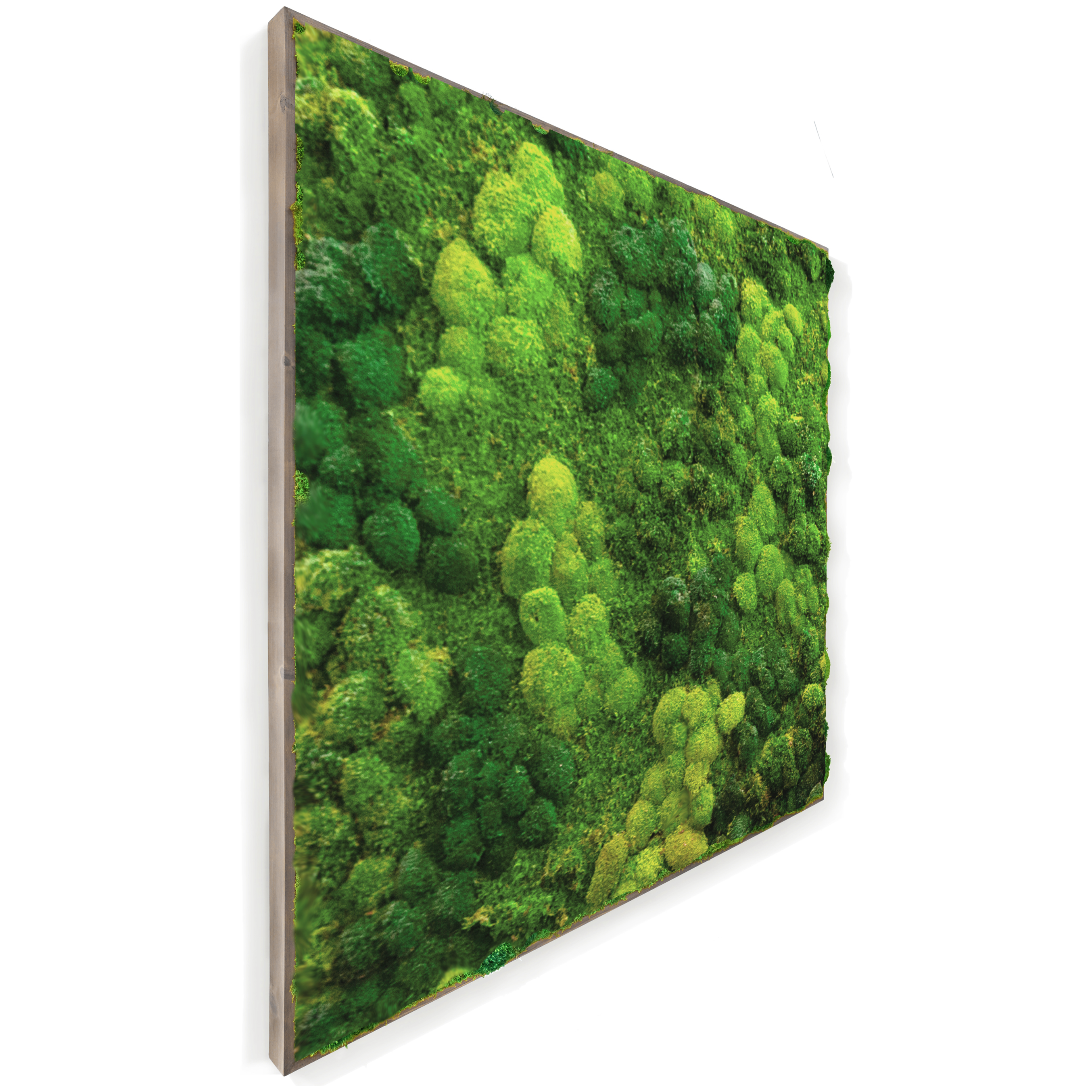 Moss Wall Preserved High Profile Moss in Gray Frame