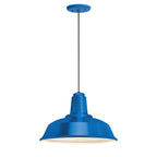 Heavy Duty Outdoor Pendant Light
