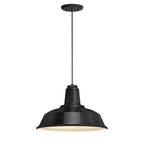 Heavy Duty Outdoor Pendant Light