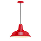 Heavy Duty Outdoor Pendant Light
