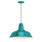 Heavy Duty Outdoor Pendant Light