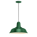 Heavy Duty Outdoor Pendant Light