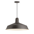 Standard Outdoor Pendant Light