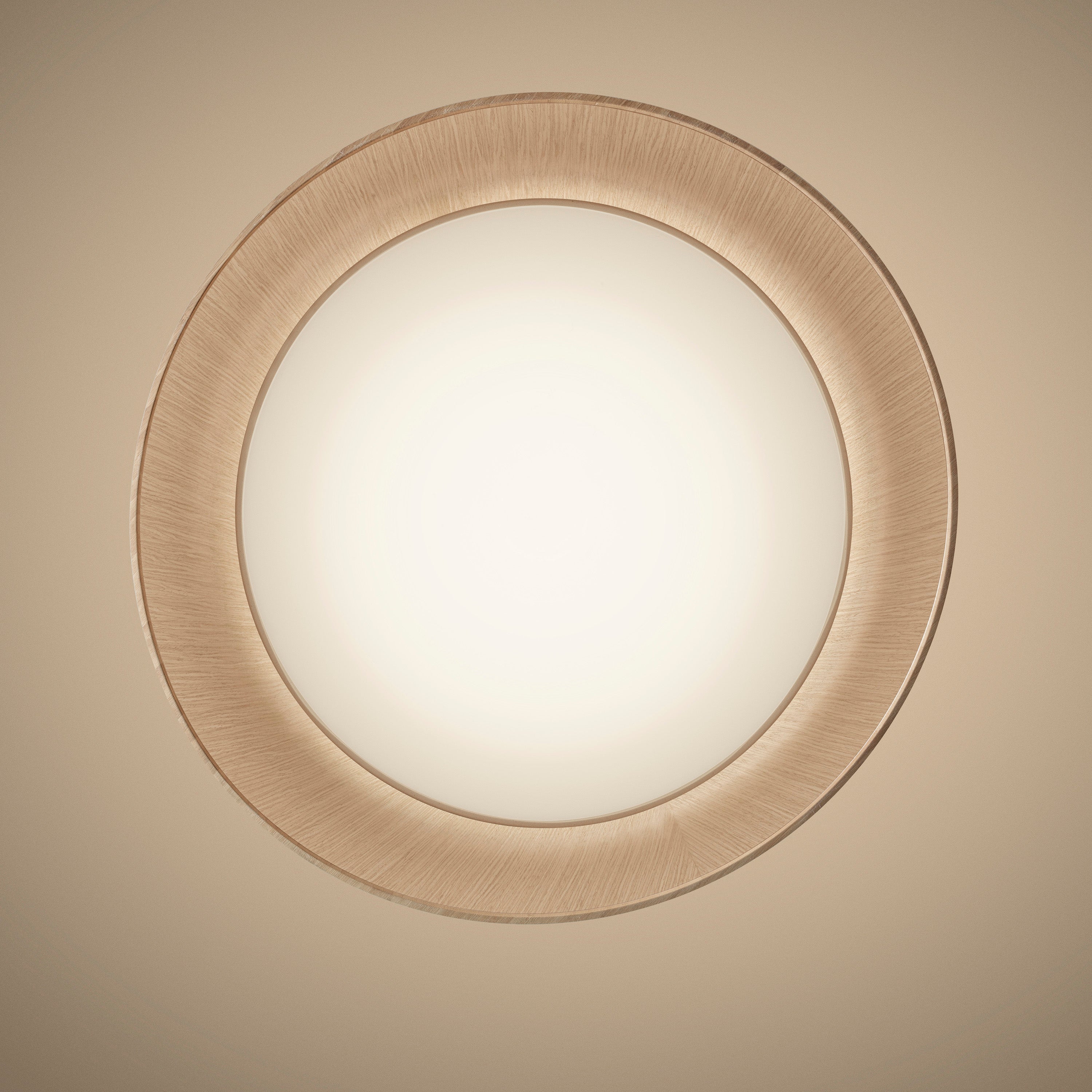 Twiggy Wood Pendant Light