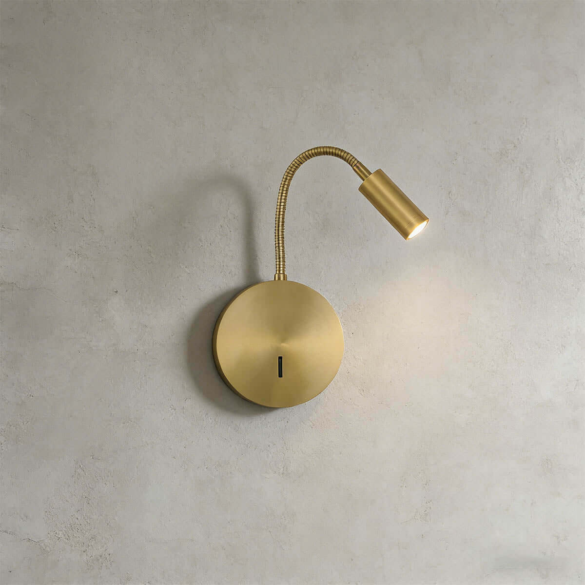 Zalor Wall Light